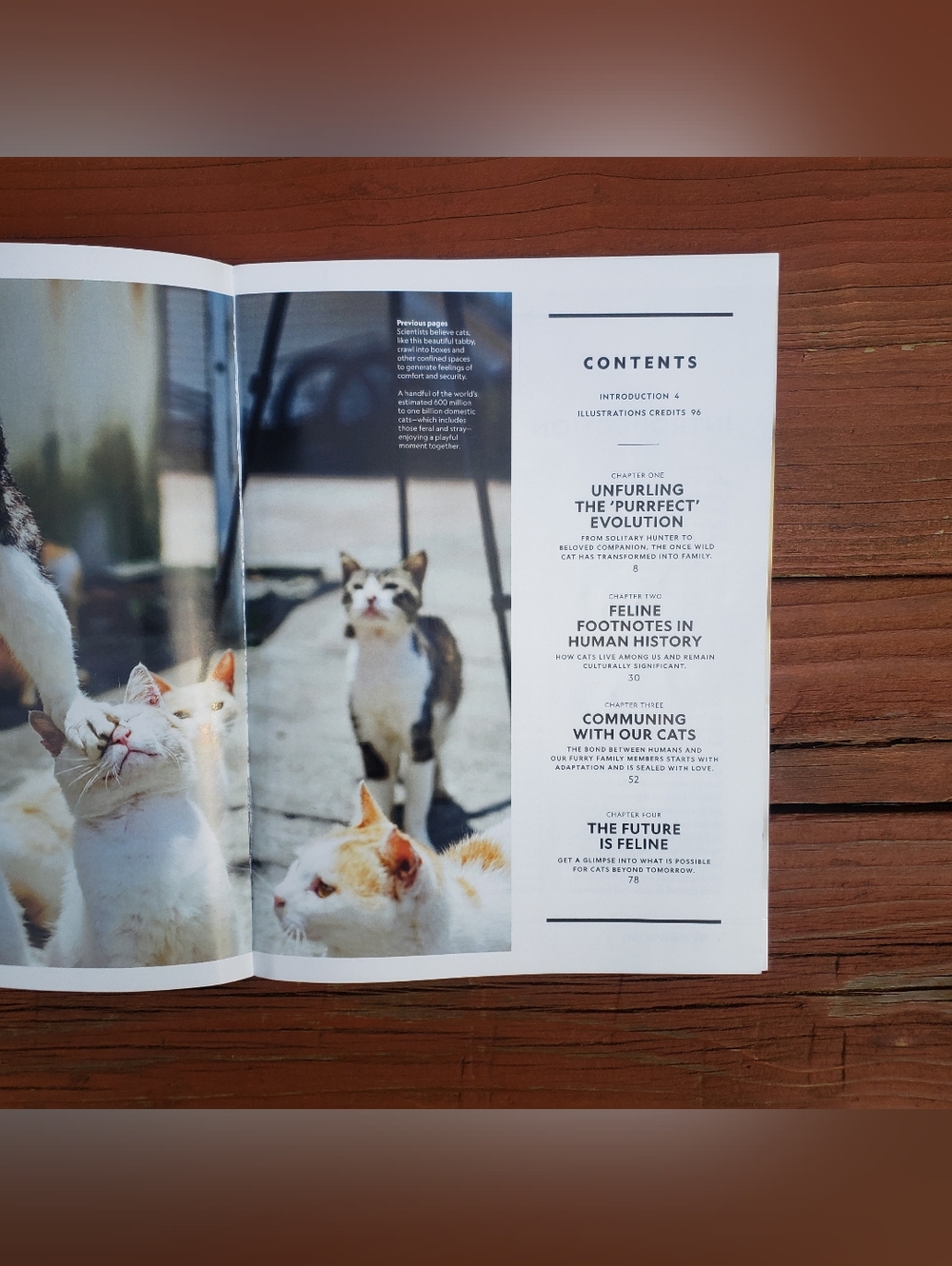 National Geographic The Genius Of Cats Special Publication - 12/2025 - Picture 6 of 10